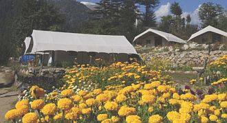 Kinner Camp, Kinnaur 4